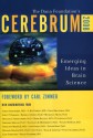 Cerebrum 2008: Emerging Ideas in Brain Science - Dana Press, Cynthia A. Read, Anjan Chatterjee, Dana Press