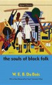 The Souls of Black Folk - W.E.B. Du Bois, Randall Kenan