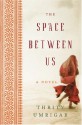 The Space Between Us LP - Thrity Umrigar