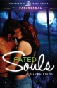 Fated Souls - Becky Flade