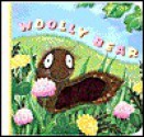 WOOLLY BEAR (A Fuzzy Chunky Book) - Annie Ingle