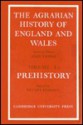 The Agrarian History of England and Wales: Volume 1, Part 1, Prehistory - Stuart Piggott