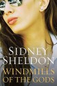 Windmills of the Gods - Sidney Sheldon