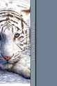 The Tiger Within - Amanda Anderson