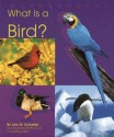 What Is a Bird? (Animal Kingdom) - Lola M. Schaefer