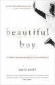 Beautiful Boy: A Father's Journey Through His Son's Addiction - David Sheff