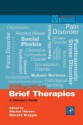 Effective Brief Therapies: A Clinician's Guide - Michel Hersen, Maryka Biaggio