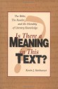 Is There a Meaning in This Text? - Kevin J. Vanhoozer