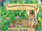 Cottontail at Clover Crescent - Drew Lamm