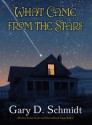 What Came from the Stars - Gary D. Schmidt