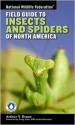 National Wildlife Federation Field Guide to Insects and Spiders & Related Species of North America - Arthur V. Evans, Craig Tufts