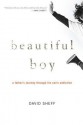 Beautiful Boy (eBook) - David Sheff