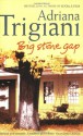 Big Stone Gap - Adriana Trigiani