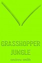 Grasshopper Jungle - Andrew Smith