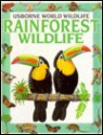 Rainforest Wildlife - Antonia Cunningham