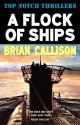 A Flock of Ships - Brian Callison