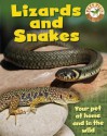 Lizards & Snakes - Sally Morgan