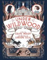 Under Wildwood: The Wildwood Chronicles, Book II - Colin Meloy, Carson Ellis