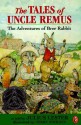 Tales of Uncle Remus: The Adventures of Brer Rabbit - Julius Lester, Jerry Pinkney