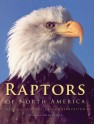 Raptors of North America: Natural History and Conservation - Noel F.R. Snyder, Helen Snyder