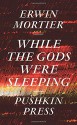 While the Gods Were Sleeping - Erwin Mortier, Paul Vincent