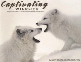 Captivating Wildlife: Images from America's Top Ten Emerging Wildlife Photographers - Scott Bourne, David Middleton