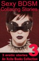 Sexy BDSM Collaring Stories - Volume Three - An Xcite Books Collection - Lynn Lake, Derek Shannon, Alcamia Payne