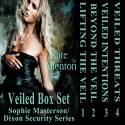 Veiled Set: Sophie Masterson/Dixon Security Series - Kate Allenton, Tess Irondale, Coastal Escape Publishing LLC