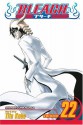 Bleach, Vol. 22: Conquistadores - Tite Kubo