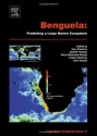 Benguela: Predicting a Large Marine Ecosystem, Volume 14 (Large Marine Ecosystems) - Vere Shannon, Gotthilf Hempel, Coleen Moloney, John D. Woods, Paola Malanotte-Rizzoli