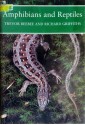 Amphibians and Reptiles - Trevor J.C. Beebee, Richard Griffiths, Richard A. Griffiths