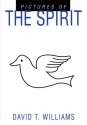 Pictures of the Spirit - David Williams