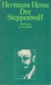 Der Steppenwolf: Erzählung - Hermann Hesse