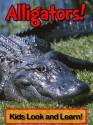 Alligators! Learn About Alligators and Enjoy Colorful Pictures - Look and Learn! (50+ Photos of Alligators) - Becky Wolff