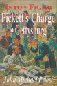 Into the Fight: Pickett's Charge at Gettysburg - John Michael Priest