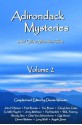 Adirondack Mysteries And Other Mountain Tales: Volume 2 - Dennis Webster, John H. Briant, Otto Van Schoonhoven, Gigi Vernon, Larry Weill, Angela Zeman, Patti Brooks, Tico Brown, Cheryl Ann Costa, G. Miki Hayden, Jenny Milchman, Paul Nandzik, W.K. Pomeroy, Woody Sins