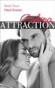 Risking Attraction Book 4: Hard Forever - Lucia Jordan