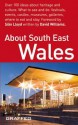 About South East Wales (About Wales Pocket) - David Williams