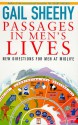 Passages In Men's Lives: New Directions For Men At Midlife - Gail Sheehy