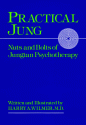 Practical Jung: Nuts and Bolts of Jungian Psychotherapy - Harry Wilmer