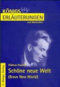 Schöne neue Welt - Aldous Huxley