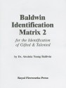 Baldwin Identification Matrix 2: For the Identification of Gifted & Talented - Alexinia Y. Baldwin