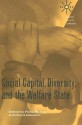 Social Capital, Diversity, and the Welfare State - Fiona M. Kay, Richard Johnston