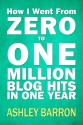 How I went From Zero to One Million Blog Hits in One Year - Ashley Barron