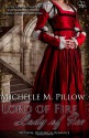 Lord of Fire, Lady of Ice - Michelle M. Pillow