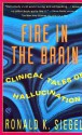 Fire in the Brain: Clinical Tales of Hallucination - Ronald K. Siegel