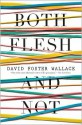 Both Flesh and Not: Essays - David Foster Wallace