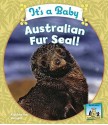 It's a Baby Australian Fur Seal! - Katherine Hengel