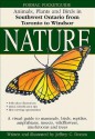 Formac Pocketguide to Nature: Animals, Plants and Birds in Southwest Ontario from Toronto to Windsor - Jeffrey C. Domm