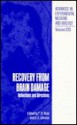 Recovery from Brain Damage - F. David Rose, D.A. Johnson